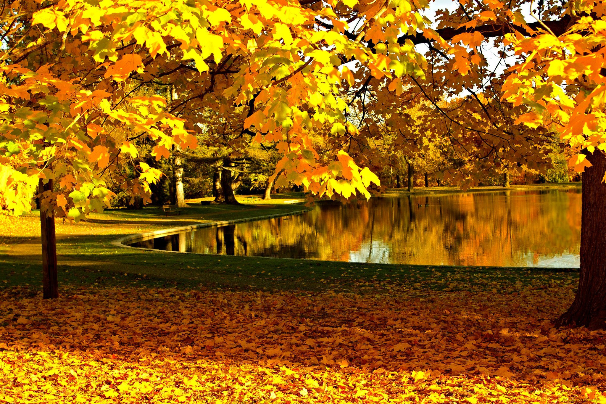 , , , nature, sky, river, water, forest, park, trees, leaves, colorful, autumn, fall, colors, walk, , , , , , , , , 